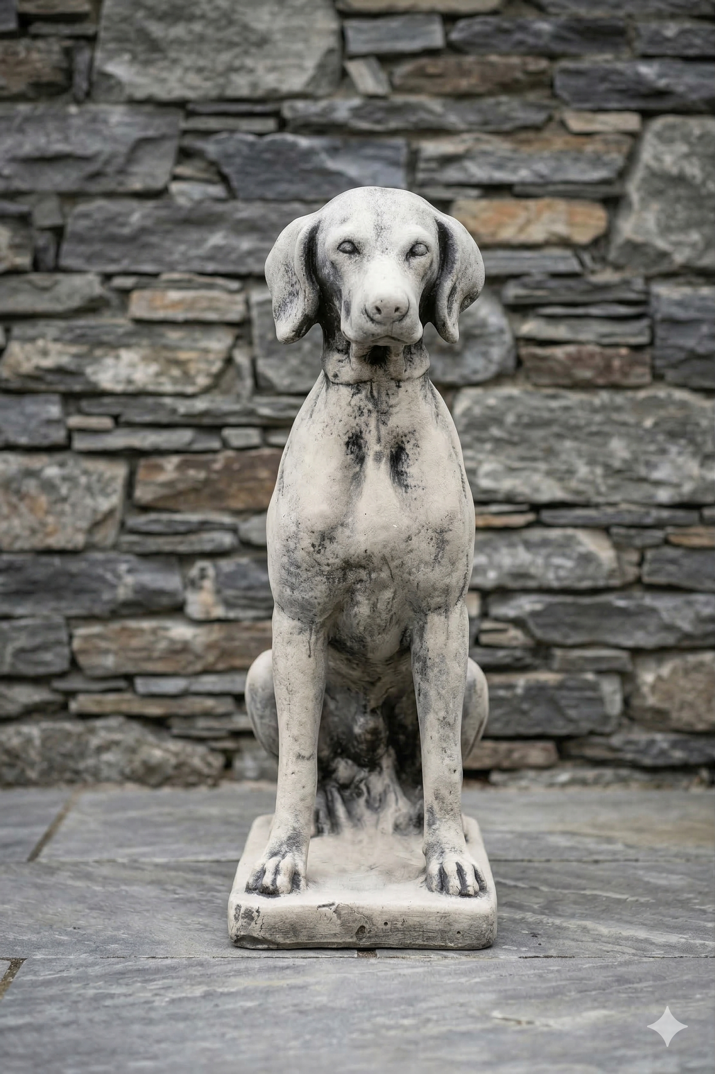 Zittende Weimaraner
