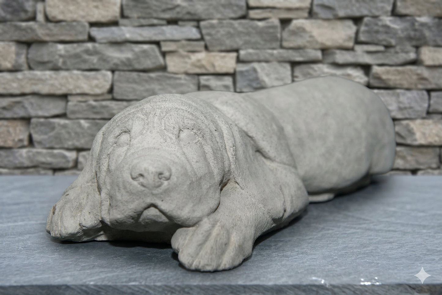 Liggende Basset hond