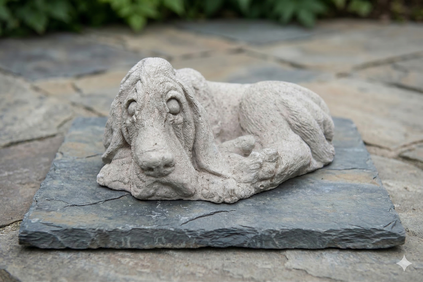 Liggende Basset Hond