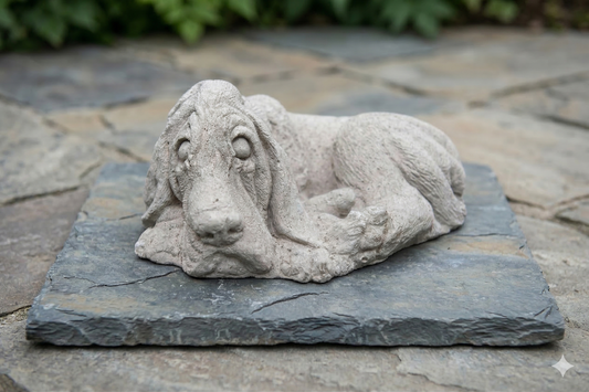 Liggende Basset Hond