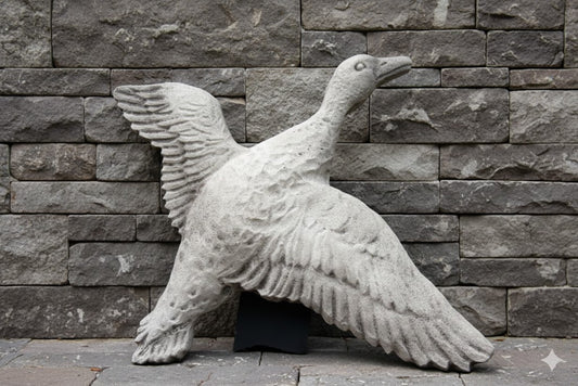 Eend- gespreide vleugels